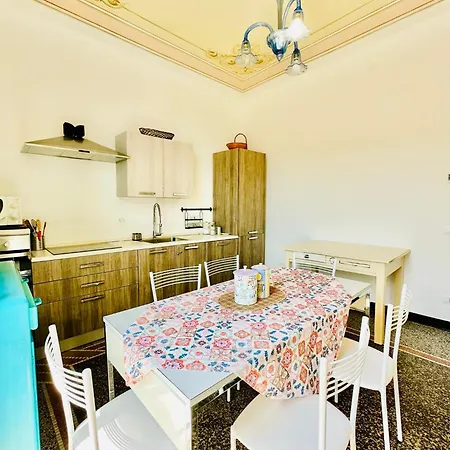 Out Finish Ester Apartment Noli